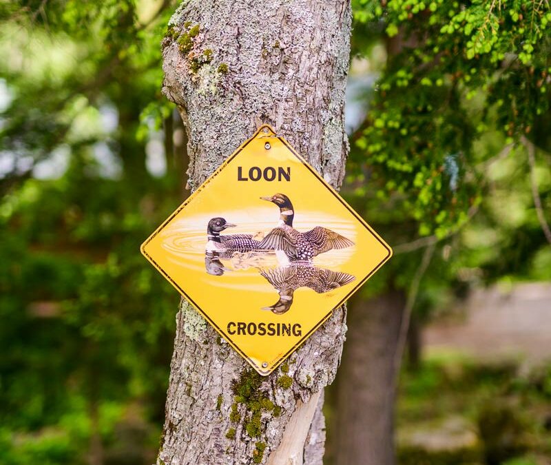Loon Crossing sign