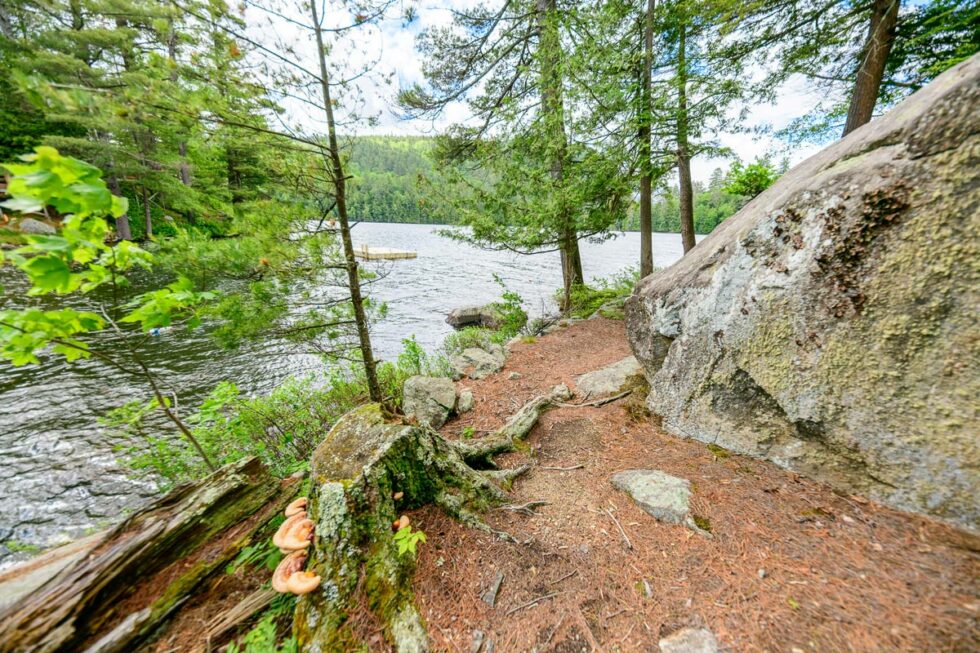 Hiking trail along Pyramid Lake Pyramid Life Center