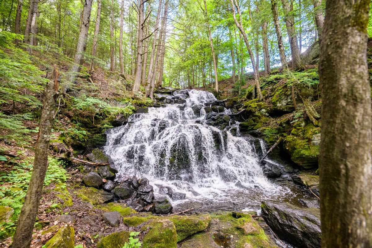 Waterfall in the woods