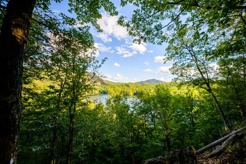 On the trail: Hiking in the woods near Pyramid Lake